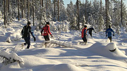 Snow running in December