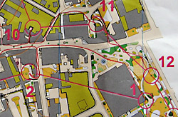 WOC 2008 selection race sprint