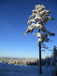 Winter in Borlänge